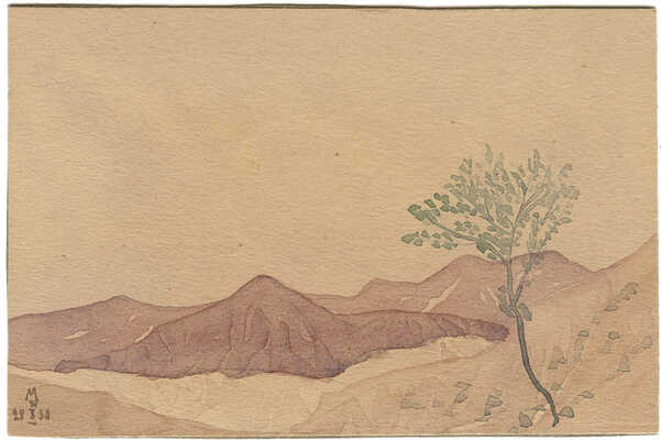 Волошин Максимилиан Александрович. Оливковое деревце среди осенних холмов